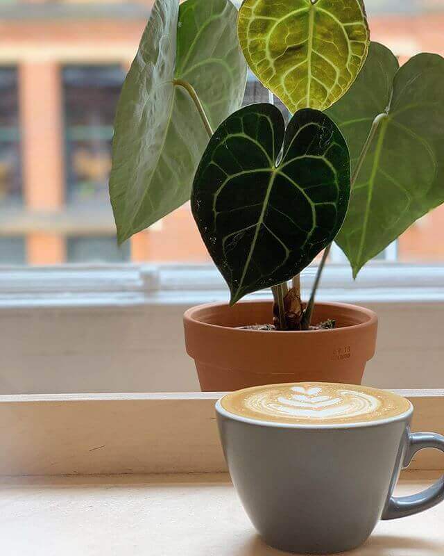 Idle Hands | Best coffee Manchester | Manchester Coffee Guide