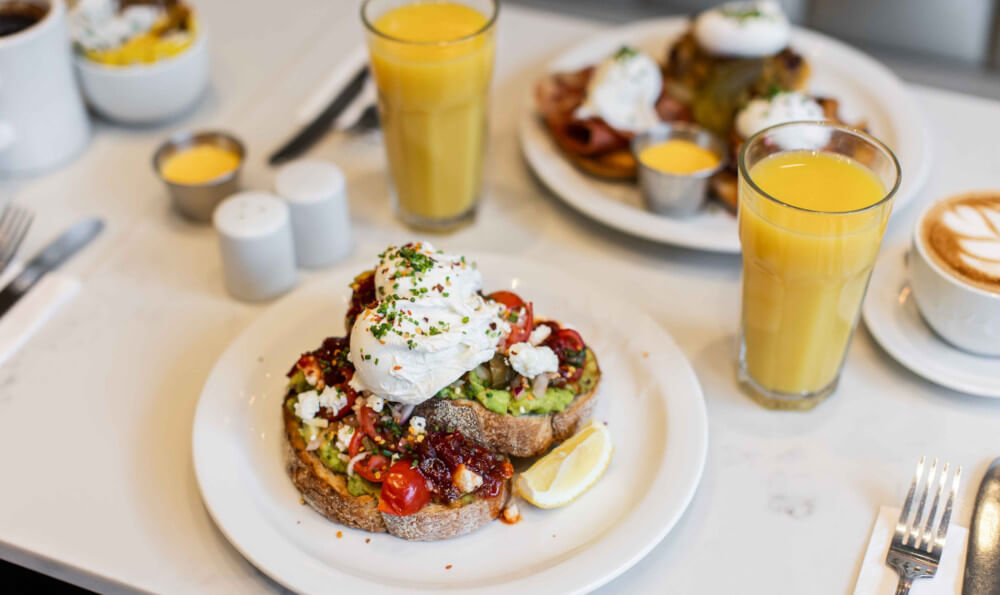 Avocado Sourdough Moose Coffee Avocado Sourdough Moose Coffee