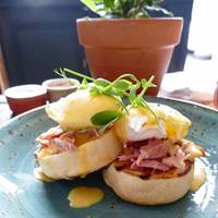 Eggs Benedict at The Tommy Tucker in Fulham, London